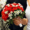 �lub, Katowice
