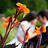 sesja plenerowa, Ogr�d Botaniczny w Zabrzu
